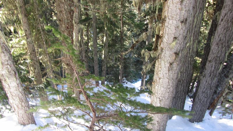 IMG_1017.JPG