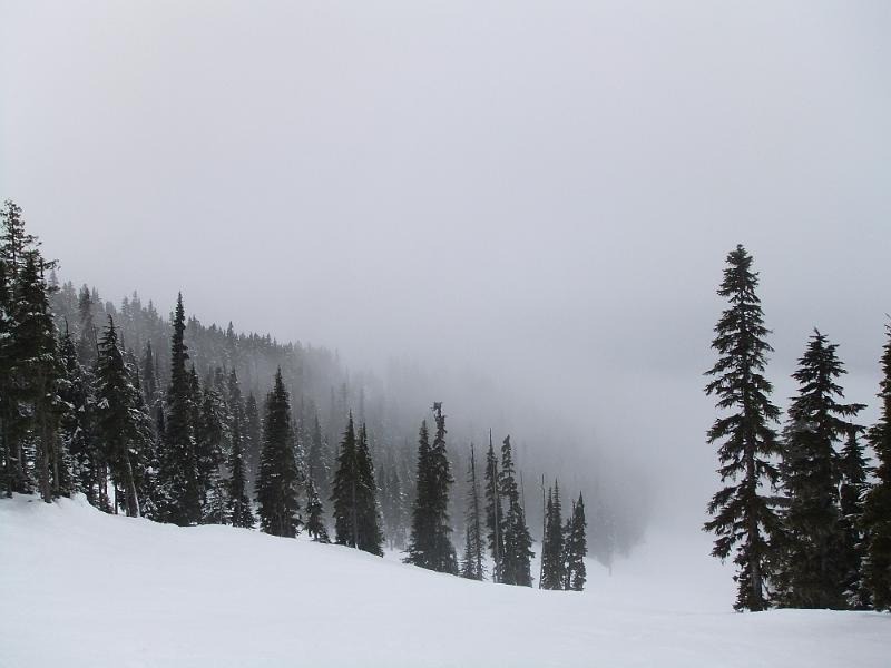 DSCF0164.JPG