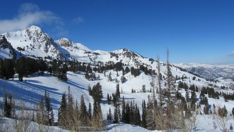 IMG_2829.JPG