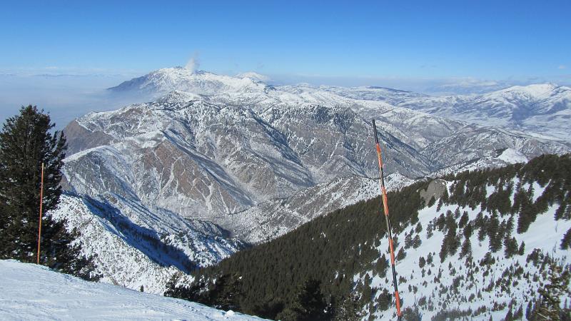 IMG_2837.JPG