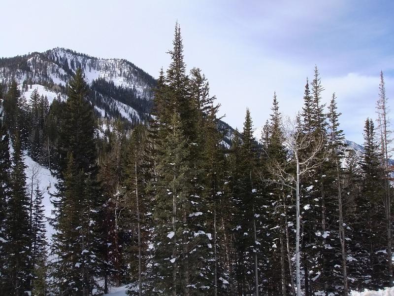 DSCF0203.JPG