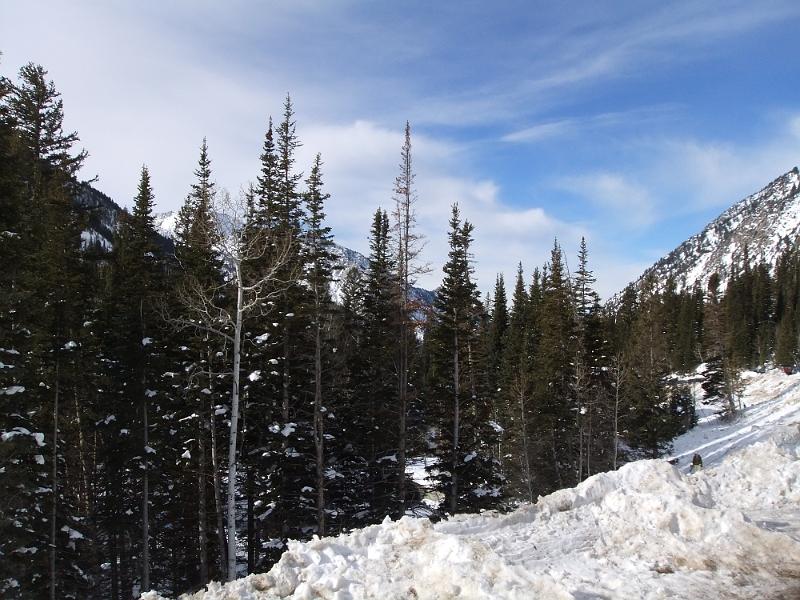 DSCF0204.JPG