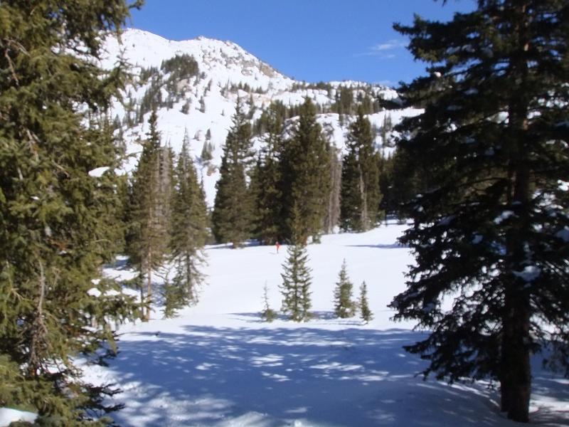 DSCF0249.JPG