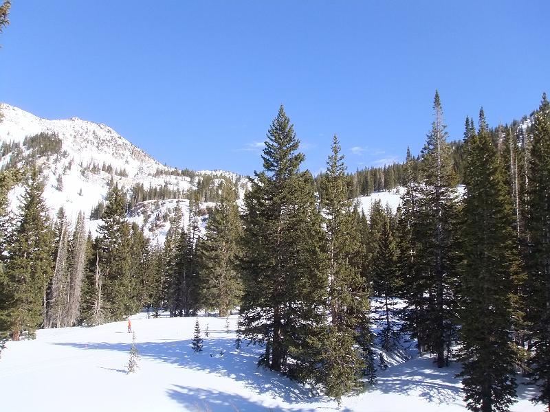 DSCF0250.JPG