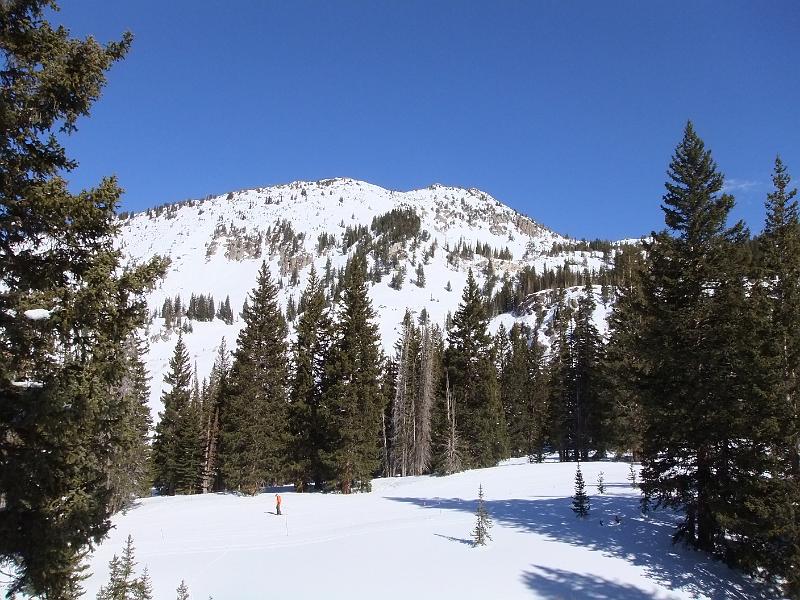 DSCF0251.JPG