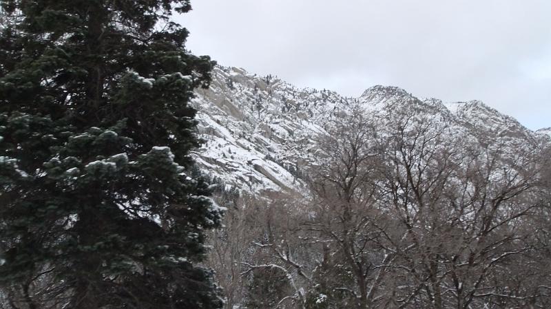 DSCF0288.JPG