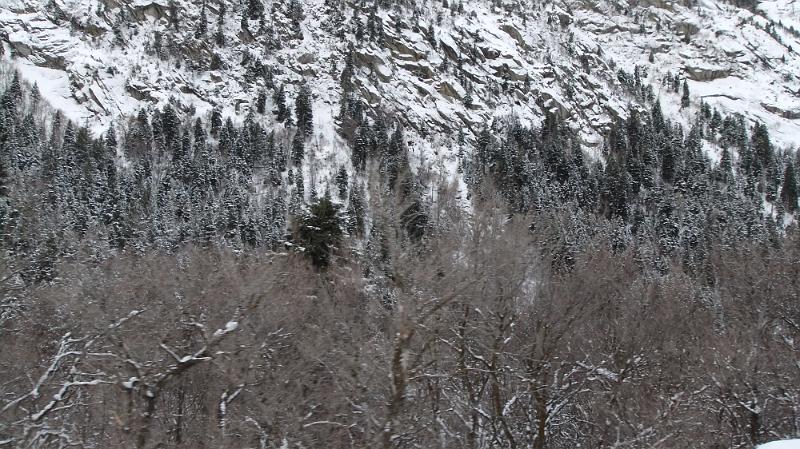 DSCF0289.JPG