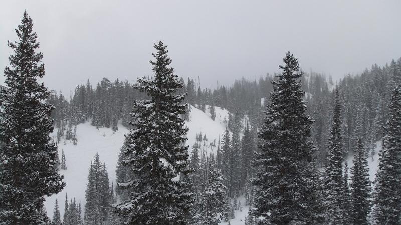 DSCF0306.JPG