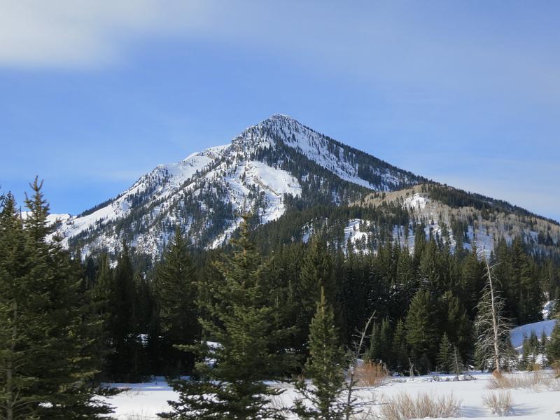IMG_1043.JPG