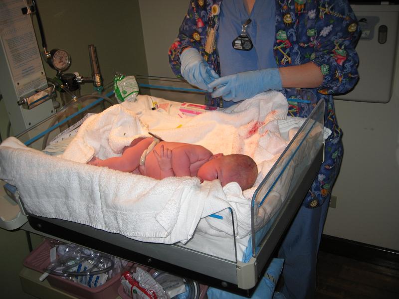 JustBorn1.jpg