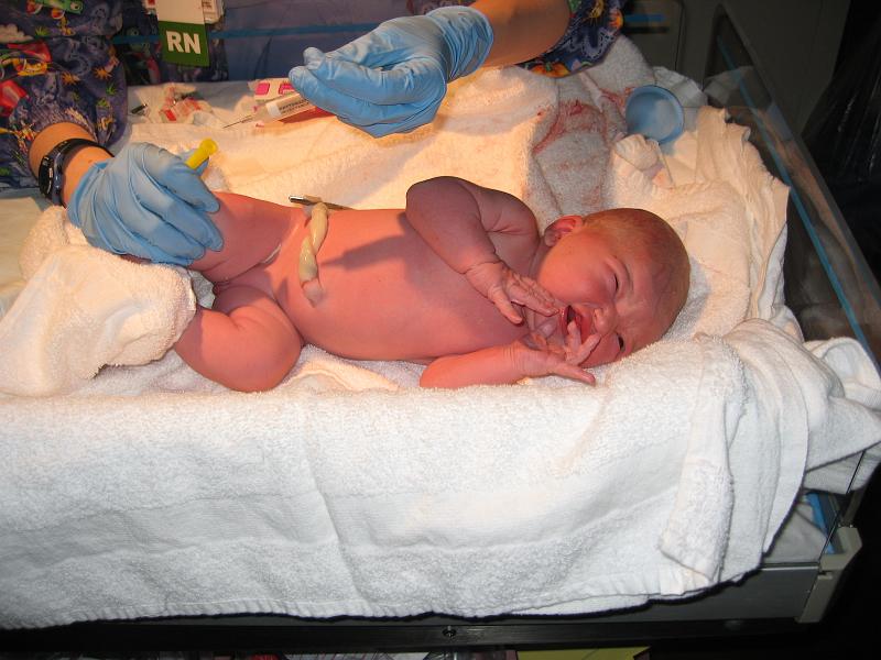 JustBorn3.jpg