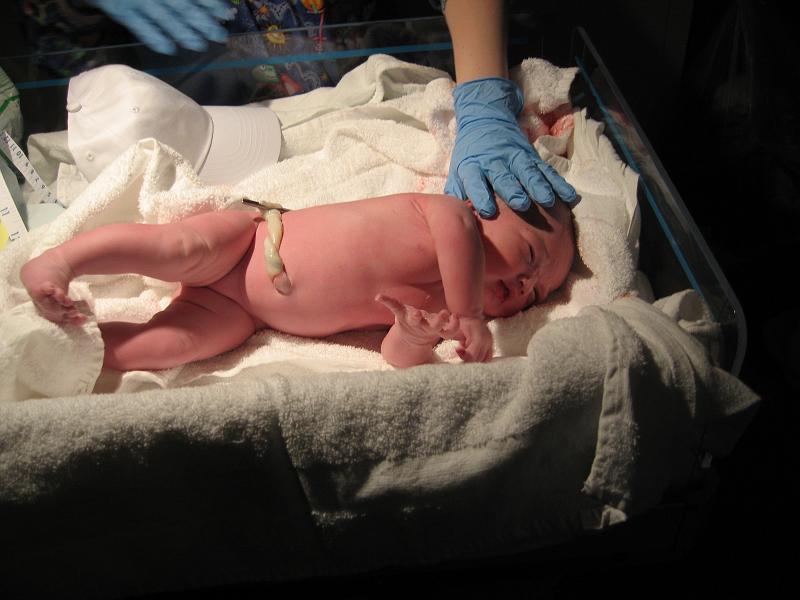JustBorn4.jpg