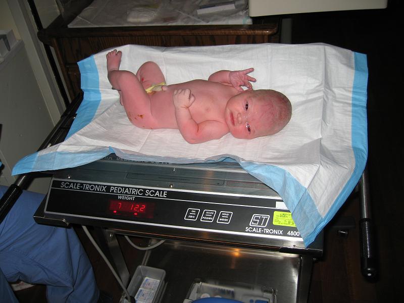 JustBorn6.jpg