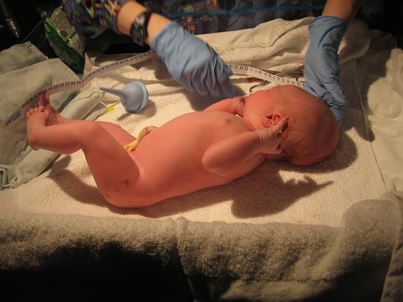 JustBorn7.jpg